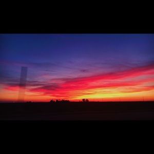 Meet your Posher, Lily